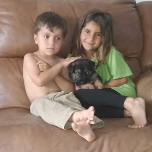 Meet your Posher, Ernie